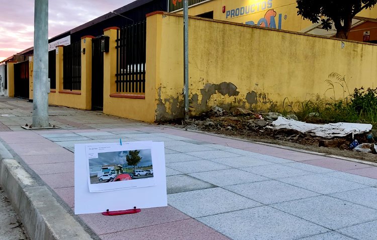 La ‘Red de Utrera por el clima’ denuncia la «desaparición» de árboles en el polígono El Torno durante el arreglo de las aceras