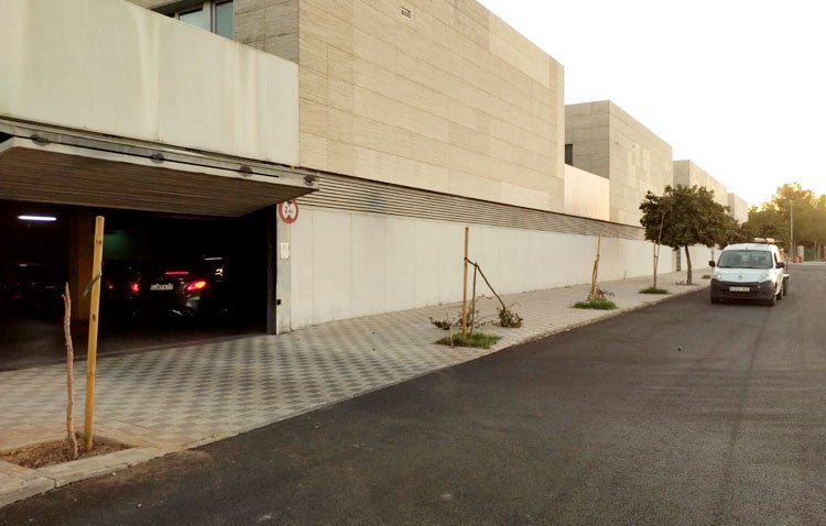 El vandalismo se ceba con varios árboles situados en la trasera del hospital de Utrera