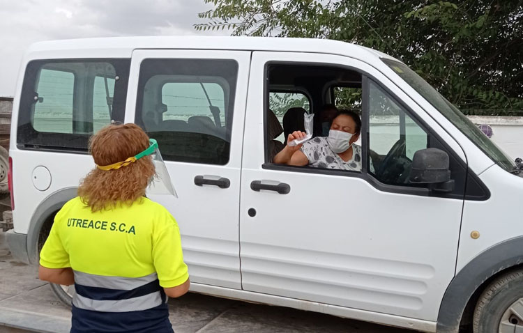 La sequía y la pandemia marcan la campaña del verdeo en Utrera, que espera recoger 10 millones de kilos de aceituna gordal