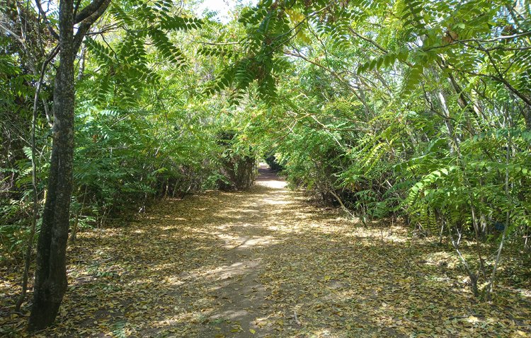 Un paraíso natural muy cerca del corazón histórico de Utrera