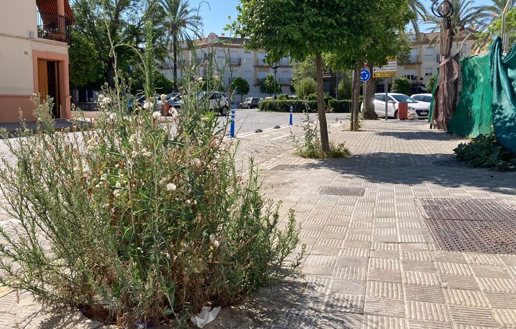 El PSOE denuncia el «deterioro y abandono» que «sufren» la Vía Marciala y la plaza de España