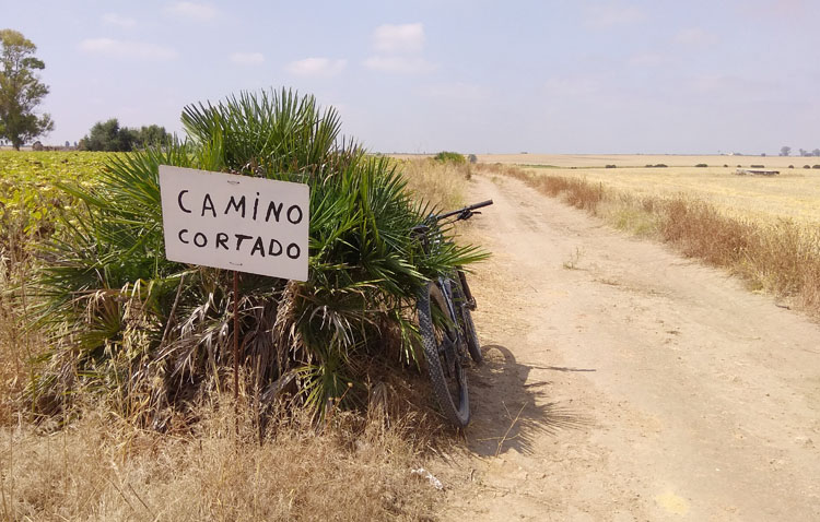 «Legiones de Leptis» denuncia el corte de una vía pecuaria en Utrera al ser ocupada ilegalmente