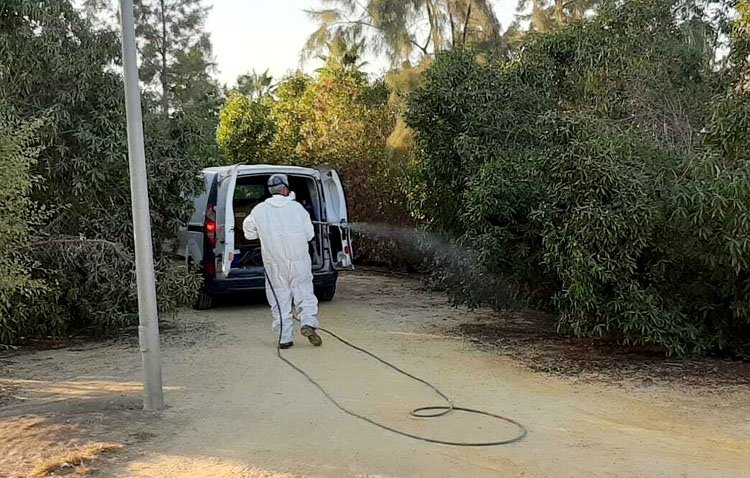 El término municipal de Utrera, en ‘riesgo alto’ de contagio por el virus del Nilo