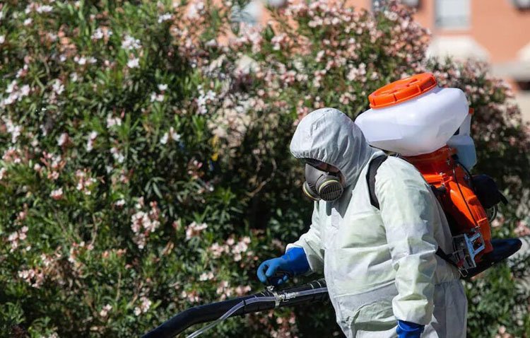 La Diputación impulsa actuaciones para intentar frenar la presencia del virus del Nilo en Utrera