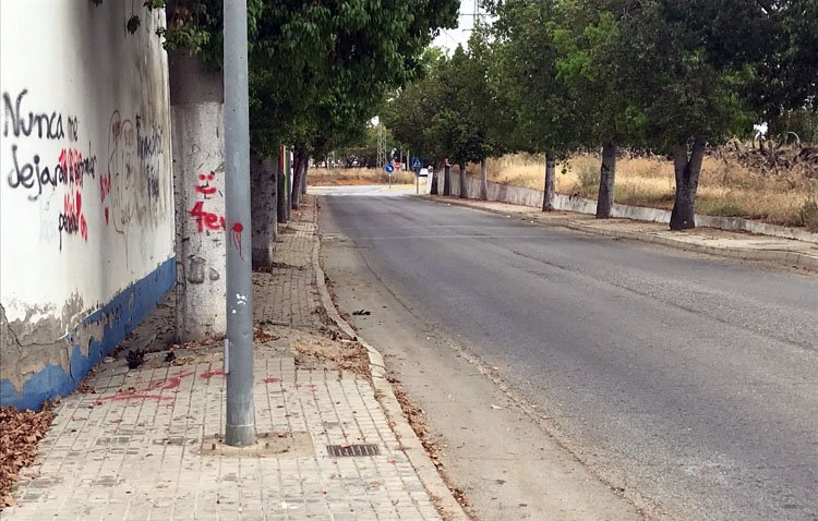 Vox pide al Ayuntamiento de Utrera el arreglo del acerado de la avenida de entrada al Junquillo