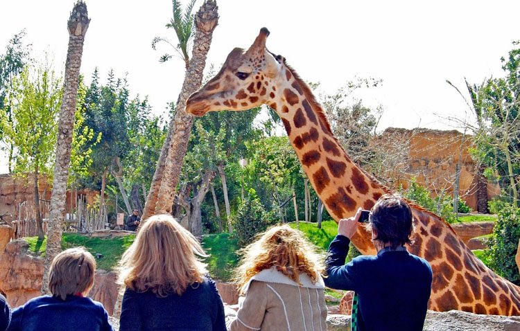 La hermandad de Fátima organiza un viaje al zoobotánico de Jerez